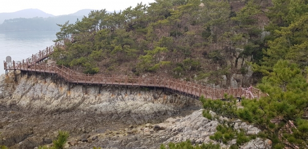 건강항노화센터, 코리아둘레길 모니터링단 참가자 모집1